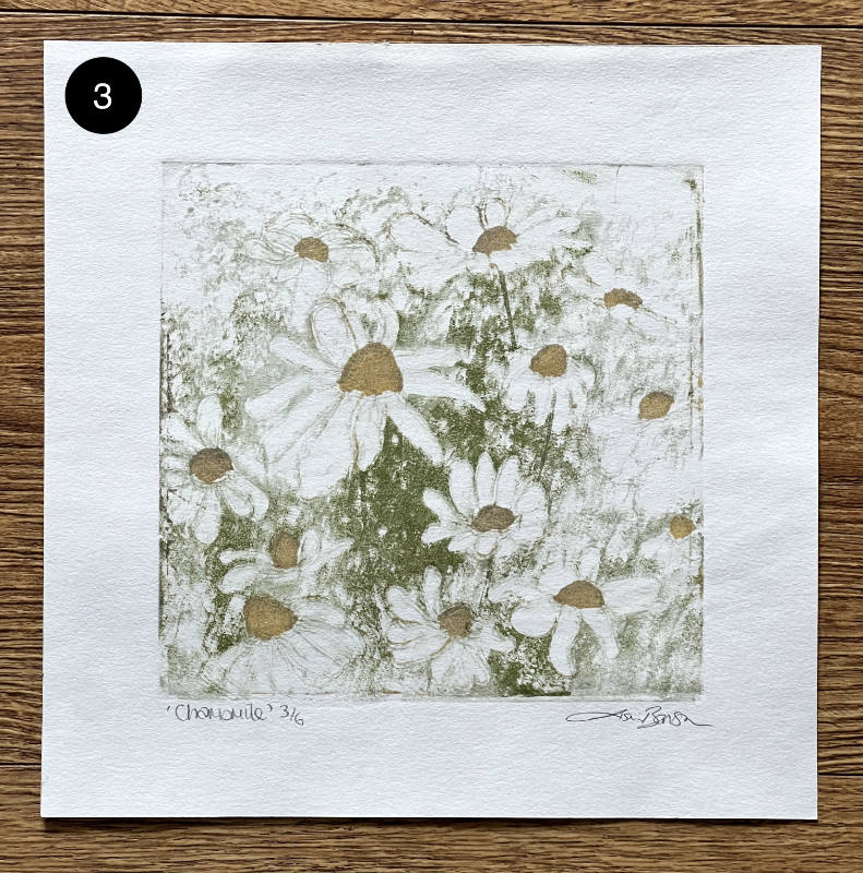 Chamomile - a foil lithography print by printmaker and artist Lisa Benson.