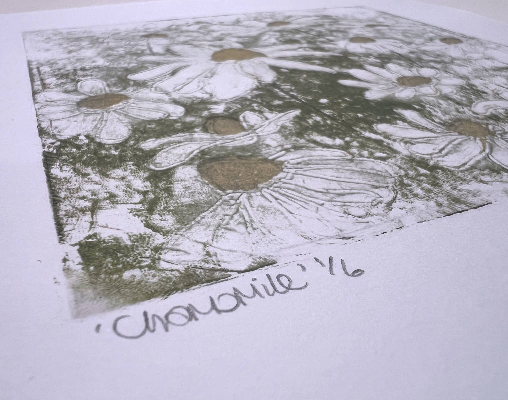 Chamomile - a foil lithography print by printmaker and artist Lisa Benson.