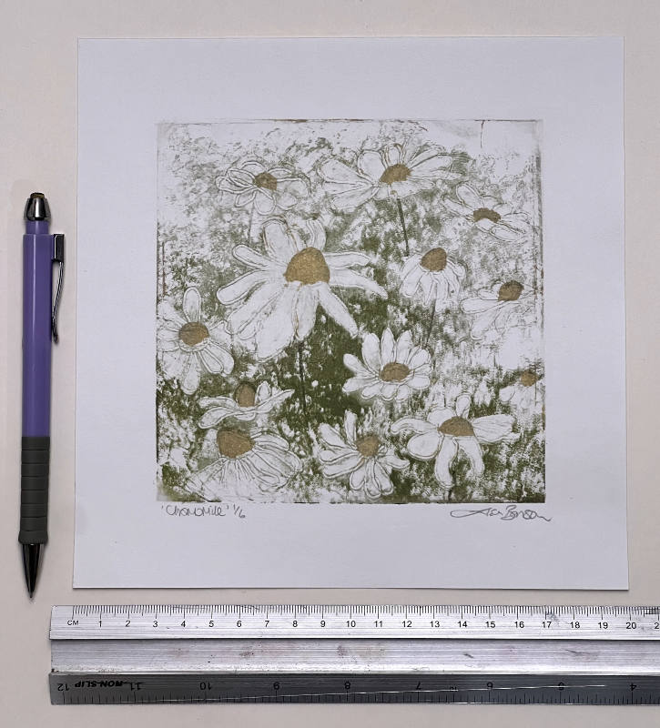 Chamomile - a foil lithography print by printmaker and artist Lisa Benson.
